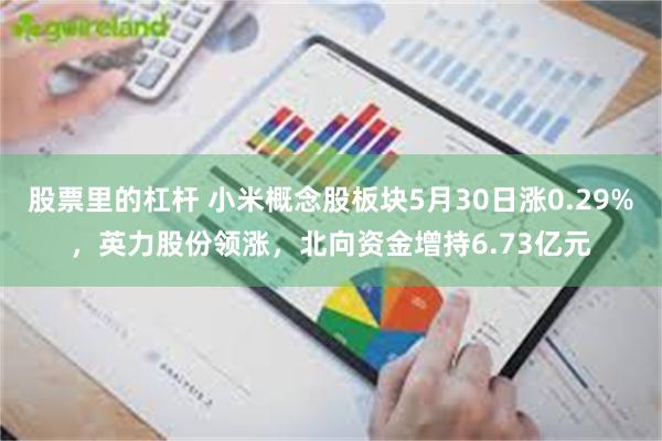 股票里的杠杆 小米概念股板块5月30日涨0.29%，英力股份领涨，北向资金增持6.73亿元