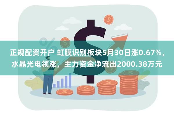 正规配资开户 虹膜识别板块5月30日涨0.67%，水晶光电领涨，主力资金净流出2000.38万元