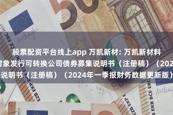 股票配资平台线上app 万凯新材: 万凯新材料股份有限公司向不特定对象发行可转换公司债券募集说明书（注册稿）（2024年一季报财务数据更新版）