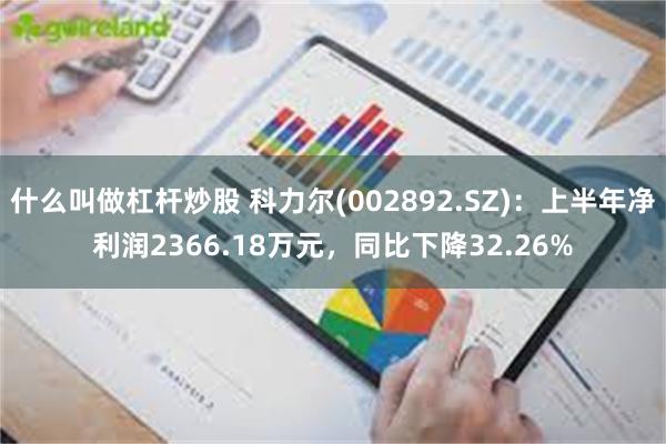 什么叫做杠杆炒股 科力尔(002892.SZ)：上半年净利润2366.18万元，同比下降32.26%