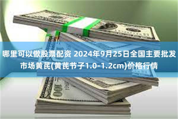 哪里可以做股票配资 2024年9月25日全国主要批发市场黄芪(黄芪节子1.0-1.2cm)价格行情