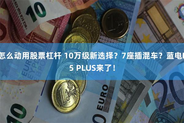 怎么动用股票杠杆 10万级新选择？7座插混车？蓝电E5 PLUS来了！