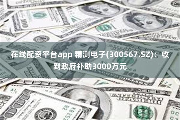 在线配资平台app 精测电子(300567.SZ)：收到政府补助3000万元