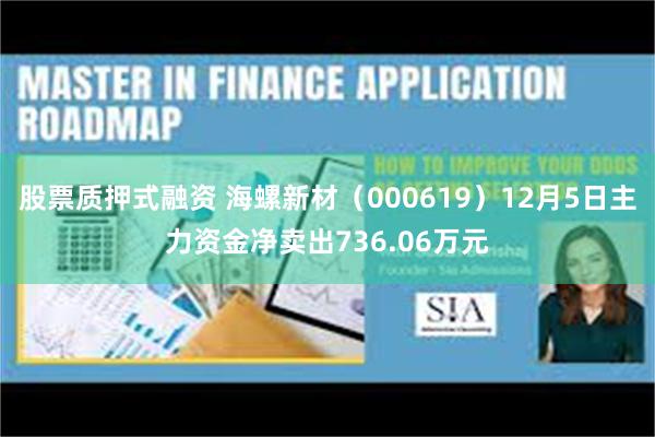 股票质押式融资 海螺新材（000619）12月5日主力资金净卖出736.06万元