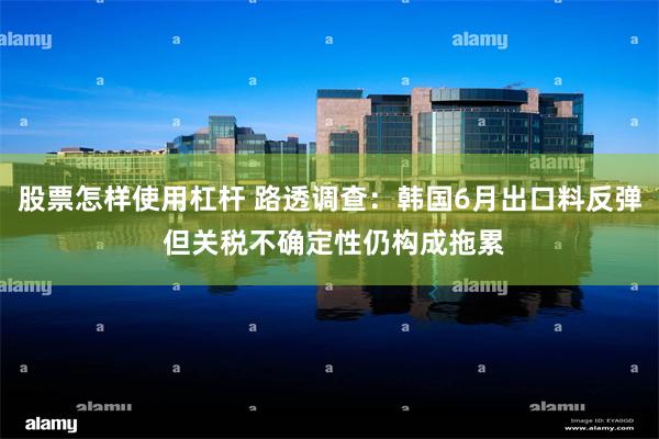 股票怎样使用杠杆 路透调查：韩国6月出口料反弹 但关税不确定性仍构成拖累